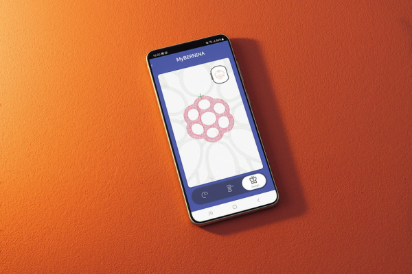 BERNINA 790 PRO mit Stickmodul